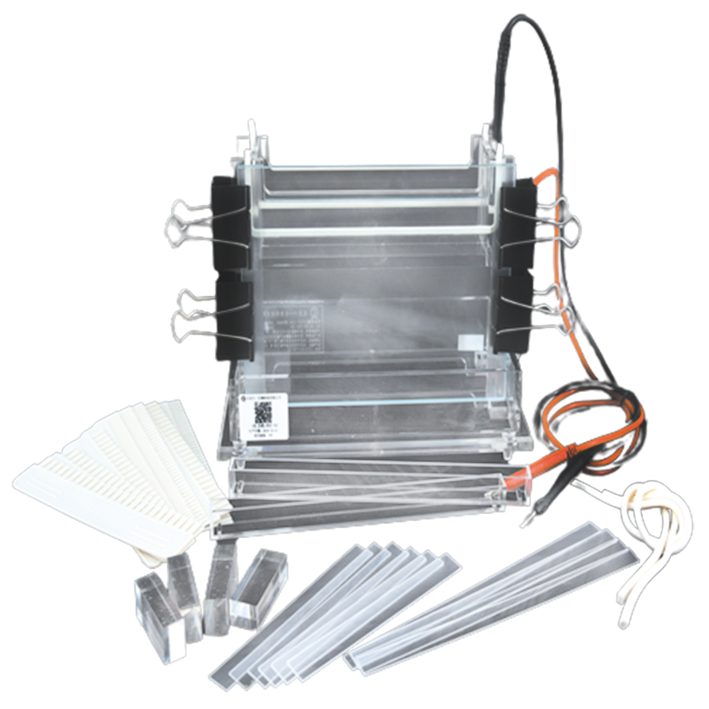 六一生物加寬雙垂直電泳儀DYCZ-24B