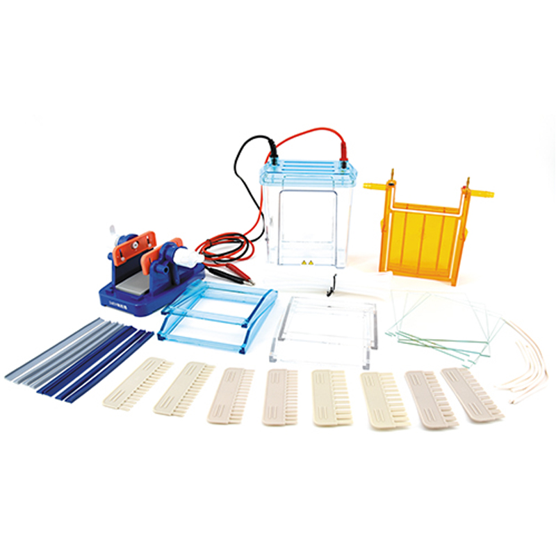 六一生物雙垂直電泳儀（中號）DYCZ-24EN