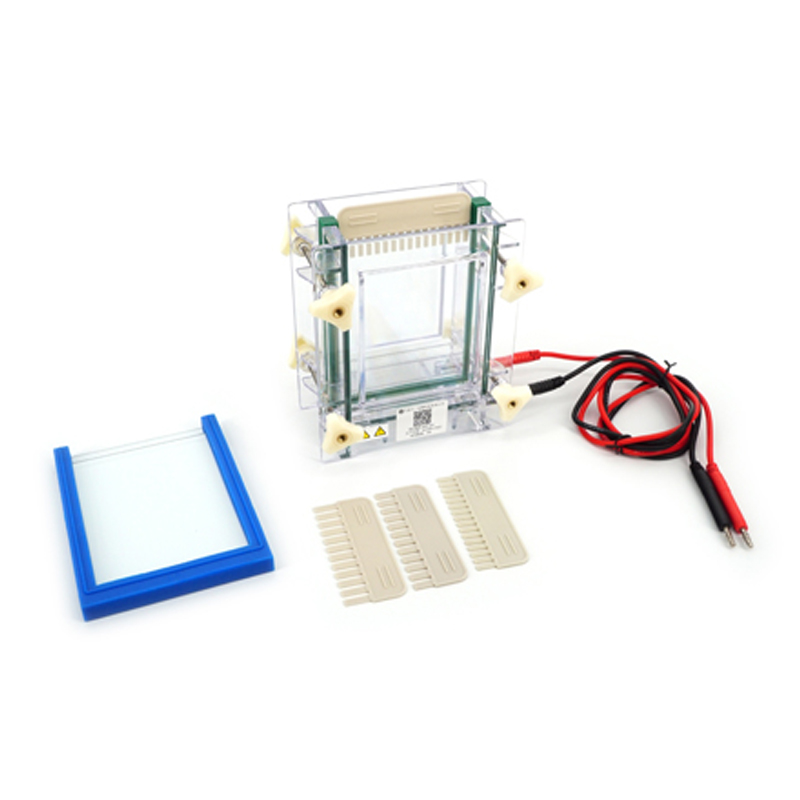 六一生物夾芯式垂直電泳儀(小)DYCZ-28A