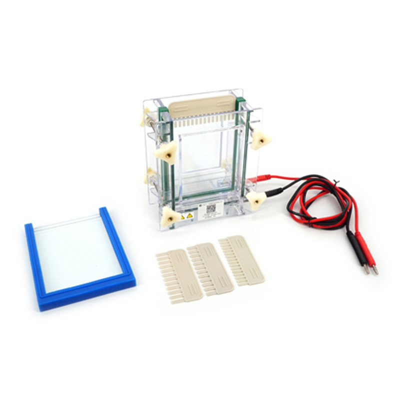 六一生物雙板夾芯式垂直電泳儀（?。〥YCZ-28C