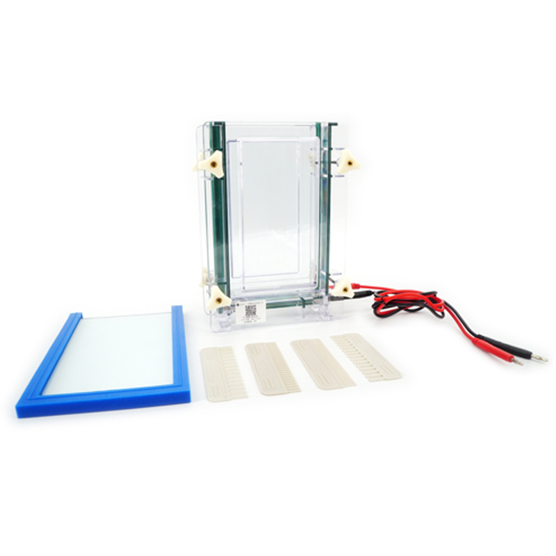 六一生物雙板夾芯式垂直電泳儀（大）DYCZ-28D