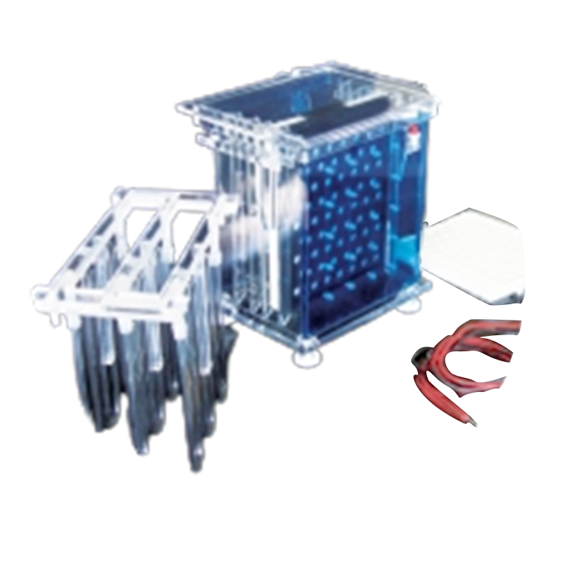 六一生物轉移電泳儀（大號）DYCZ-40A
