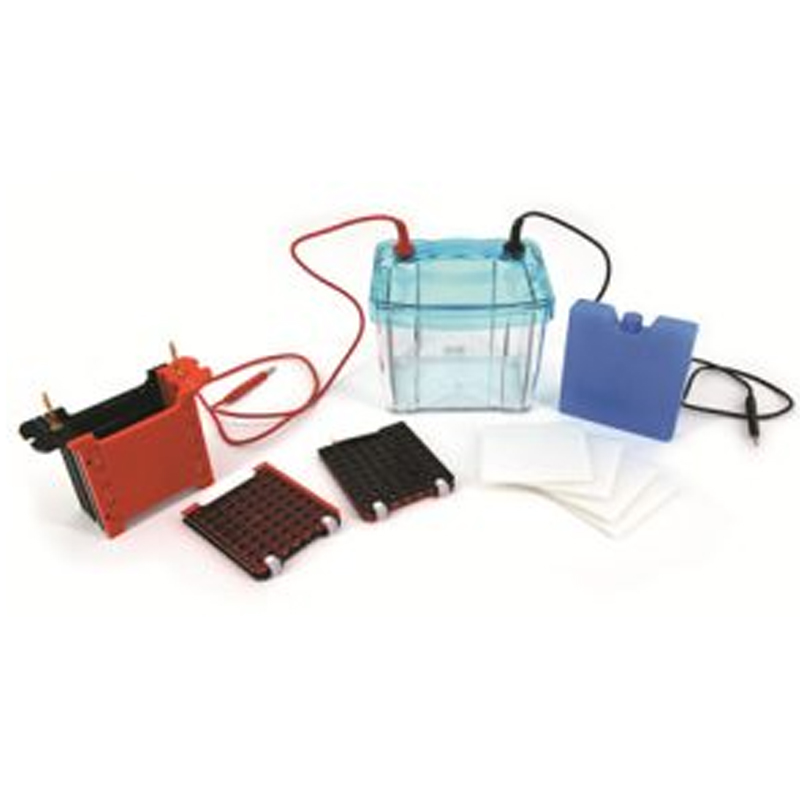 六一生物轉印電泳儀（注塑）DYCZ-40G