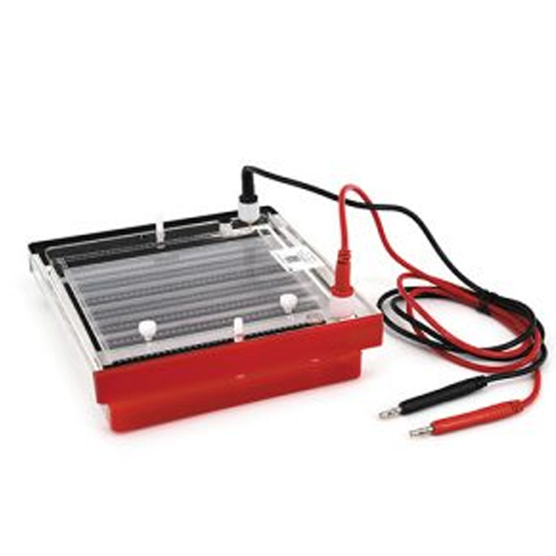 六一生物紫外可見分析儀WD-9403A