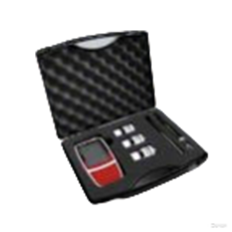 上海般特Bante221-CN便攜式pH計