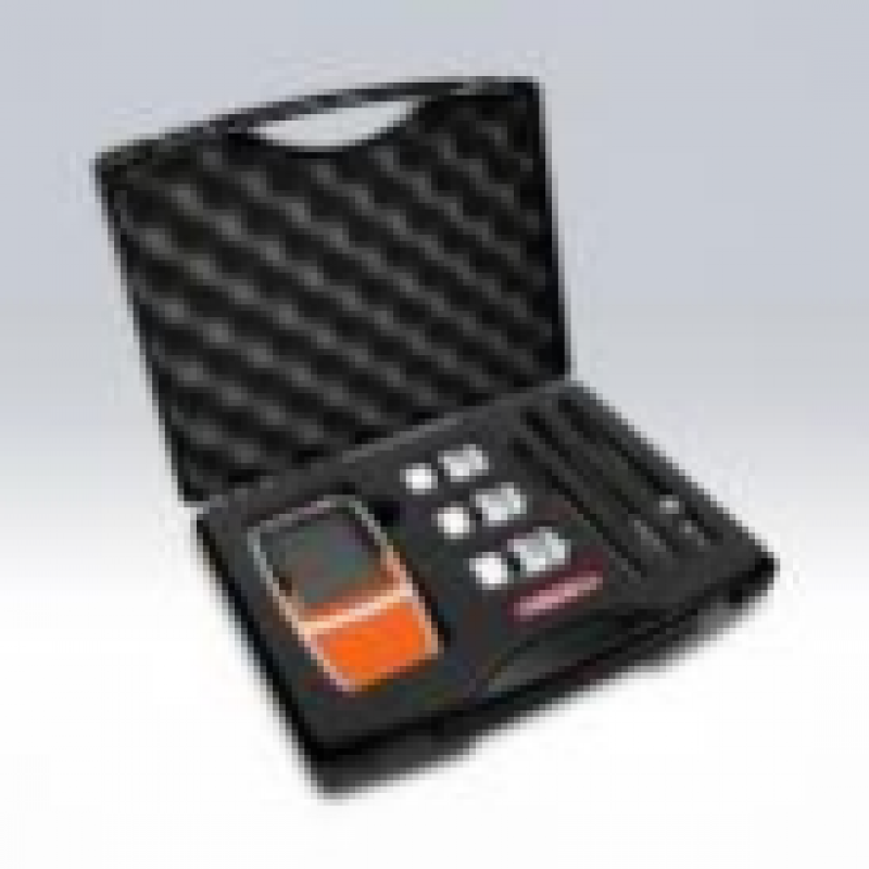 上海般特Bante902P-CN便攜式多參數水質測量儀